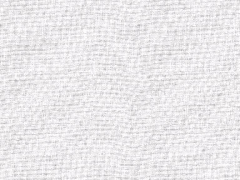 Willow Bloom Sheer Crisp White