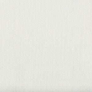 Willow Bloom Home Candor Pearl Drape