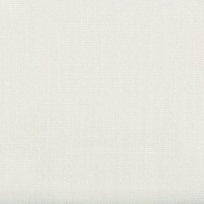 Willow Bloom Home Candor Pearl Drape