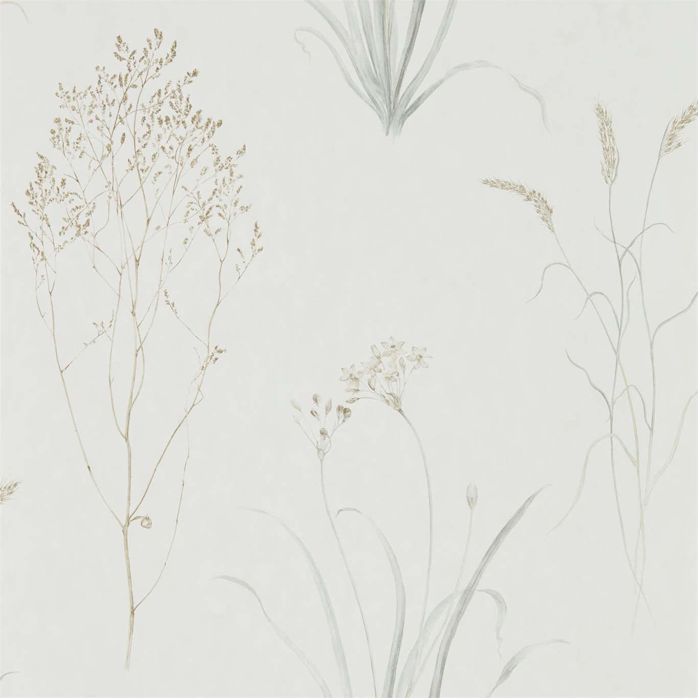 Willow Bloom Home Grasses Silver:Ivory Wallpaper