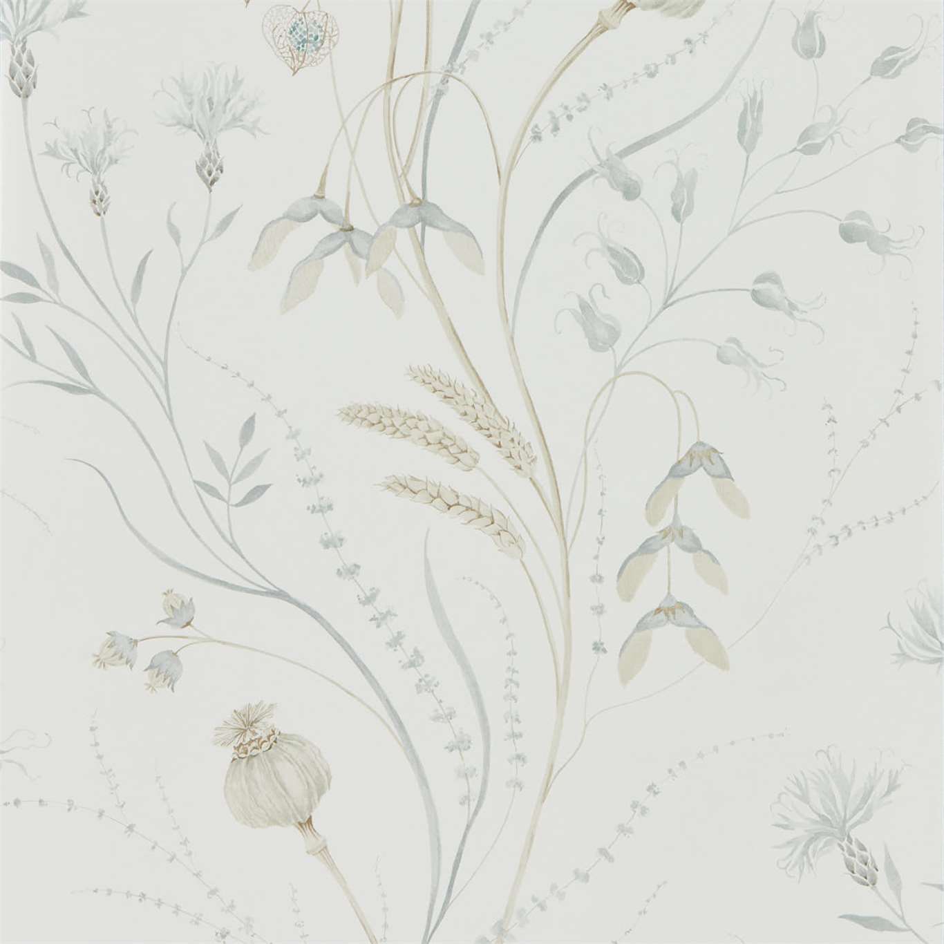 Harvest Silver:Chalk Wallpaper