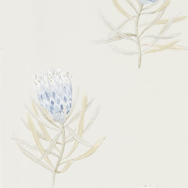Willow Bloom Home Protea Blue:Canvas Wallpaper