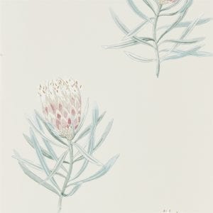 Willow Bloom Home Protea Porcelain:Blush