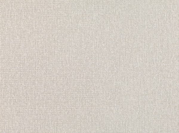 Willow Bloom Home Banks Silver Birch Wallpaper