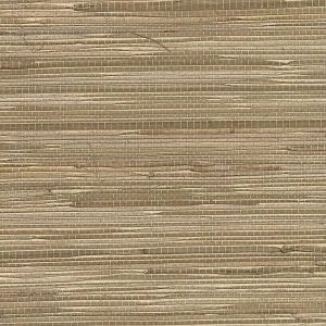 Willow Bloom Home Kali Wheat Grasscloth Wallpaper