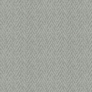 Willow Bloom Home Liam Charcoal Wallpaper