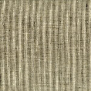 Willow Bloom Home Eli Nickel