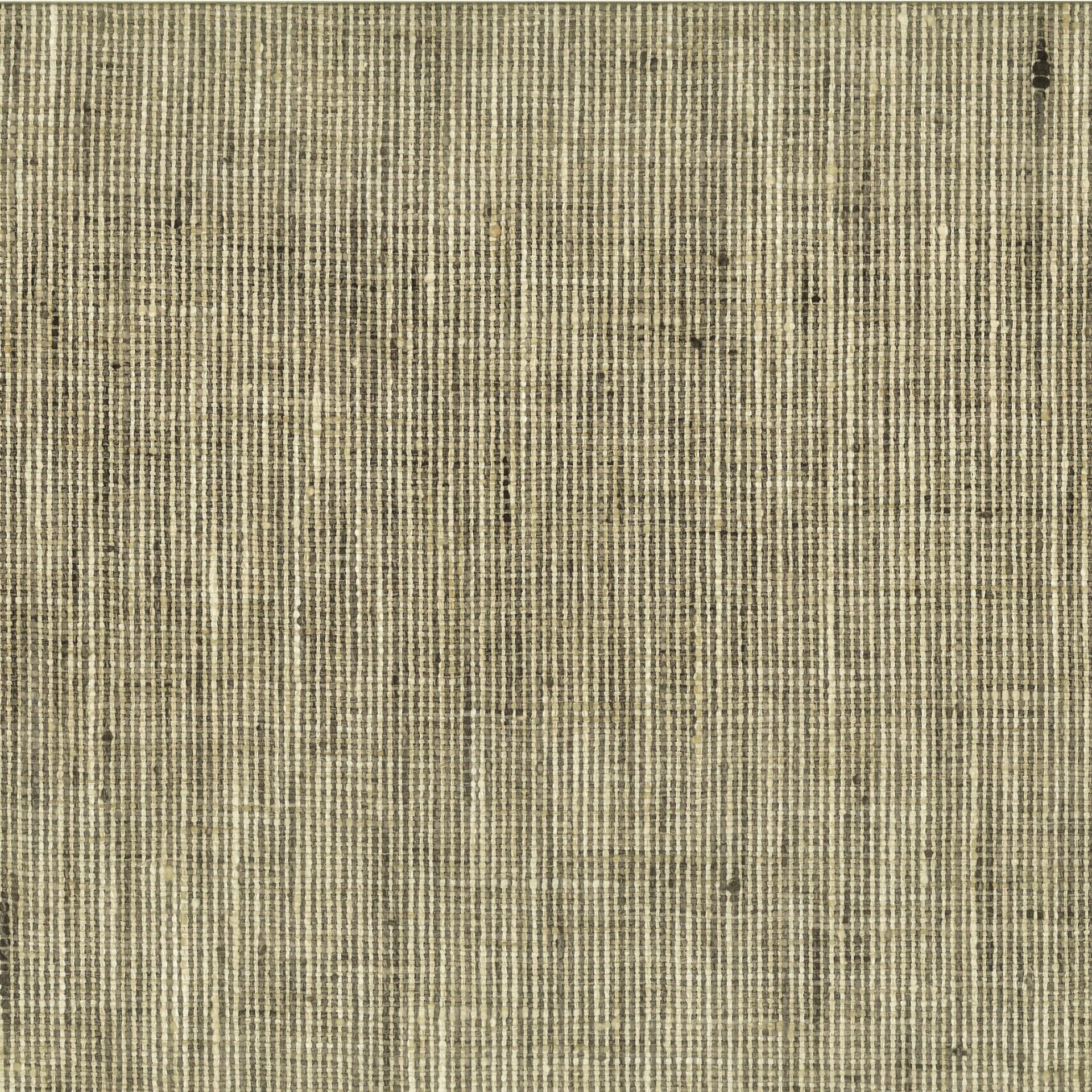 Willow Bloom Home Eli Nickel