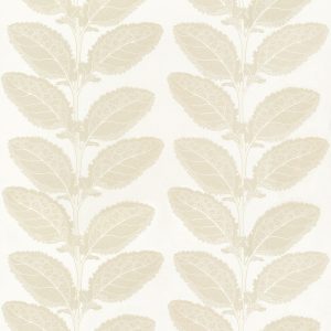 Lacinato Birch
