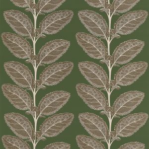 Lacinato Wild Sage