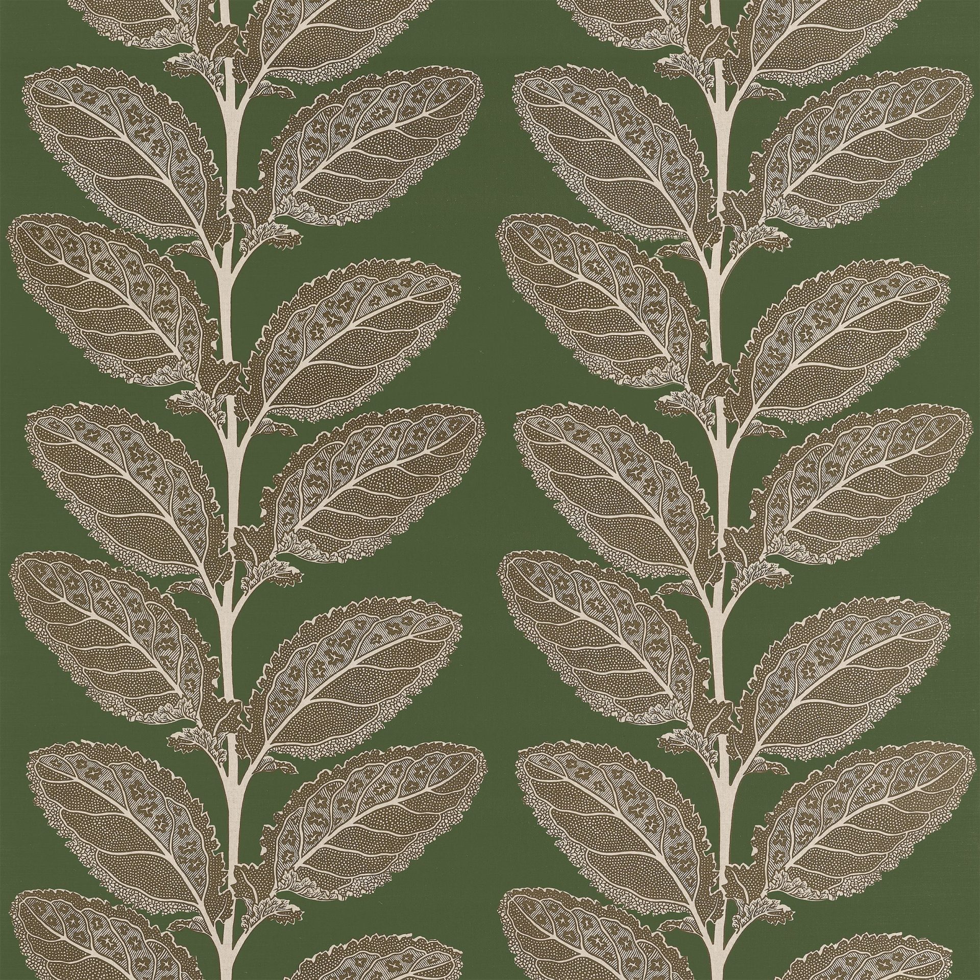 Lacinato Wild Sage