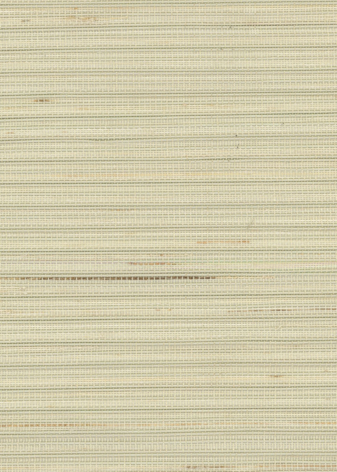 Pro Design Calusa Straw AR-A521