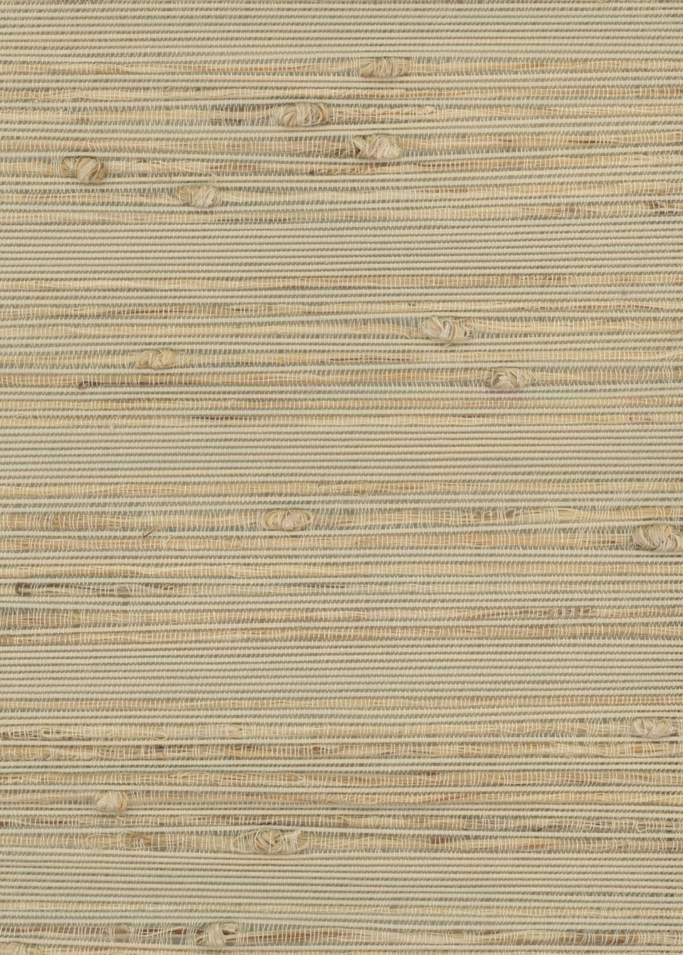 Pro Design Ella Biscotti AR-192B