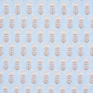 Mia Tulip Sky and Sand Sample