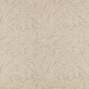 Cicely Chamois