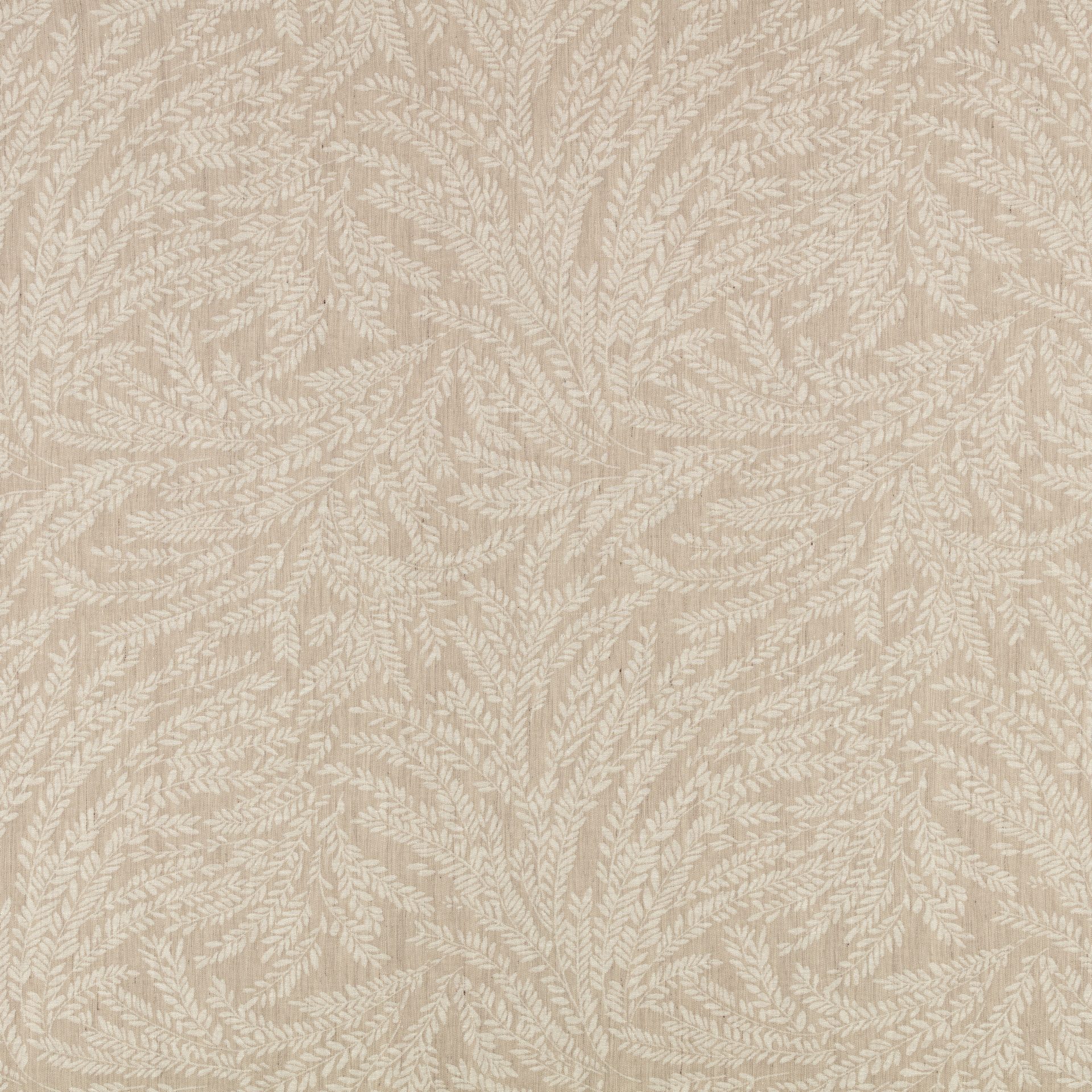 Cicely Chamois