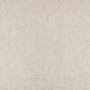 Cicely Chamois
