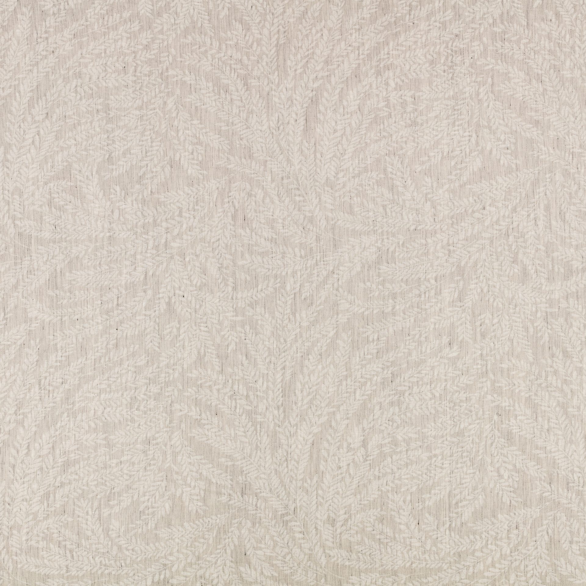 Cicely Chamois