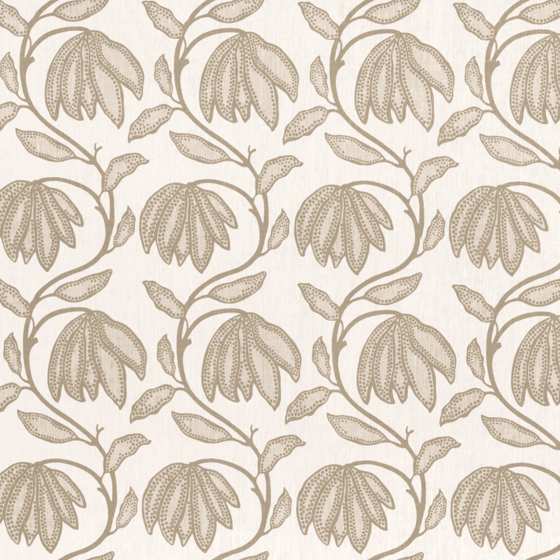 Desert Flower Birch
